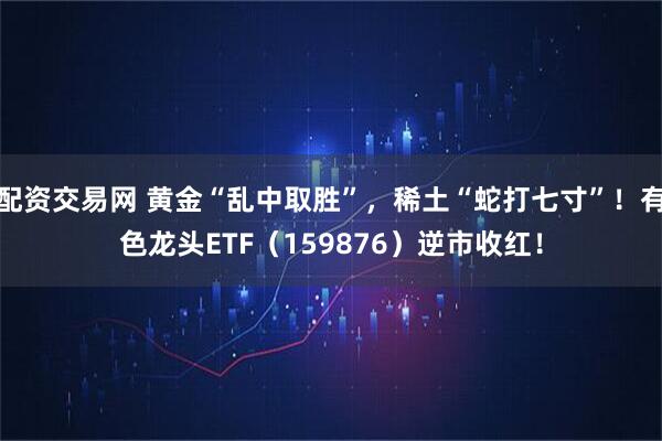 配资交易网 黄金“乱中取胜”，稀土“蛇打七寸”！有色龙头ETF（159876）逆市收红！